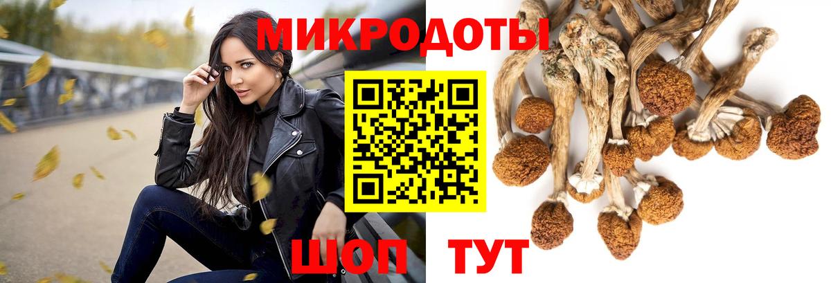 Псилоцибиновые грибы Psilocybine cubensis  Вход с VPN  Урай  Галлюциногенные грибы Cubensis 
